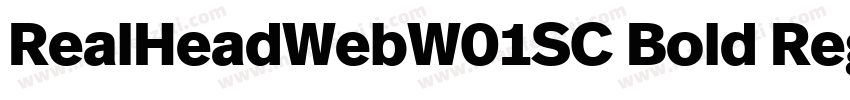 RealHeadWebW01SC Bold Regular字体转换